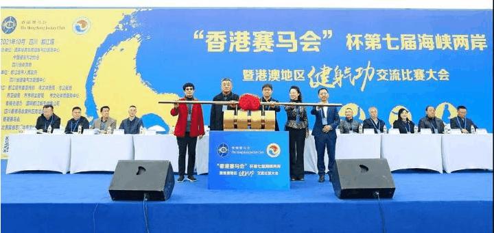 2019年香港马会资料大全，全面解析与深度分析香港2021年马会资料大全
