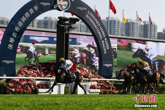 探秘香港赛马会，从排位表看赛事的魅力与文化香港赛马会排位表 资料及赛果