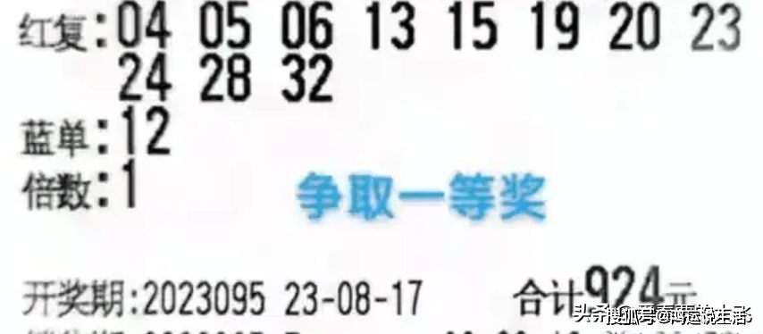 探秘白小姐一码中期期开奖结果，数字背后的奥秘与乐趣白小姐一码中期期开奖结果查询7