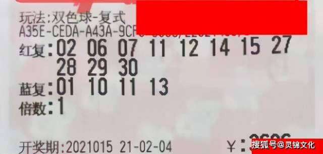2031年，揭秘第49期双色球开奖结果—梦想与幸运的碰撞2023100期双色球开奖结果查询