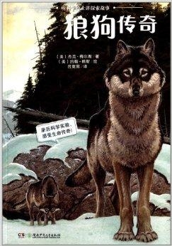 探索小狼狗高手论坛，网络社区中的独特文化与成长空间小狼狗高手论坛官网