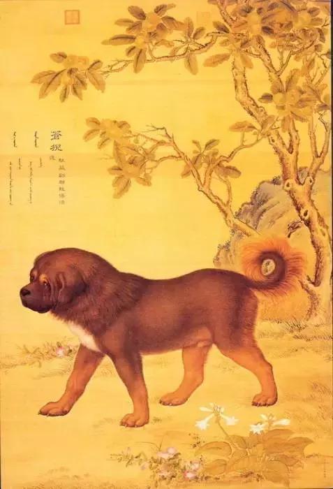 澳门开奖现场直播，今晚的神秘数字揭晓澳门开奖现场直播今晚开什么现场直播1688