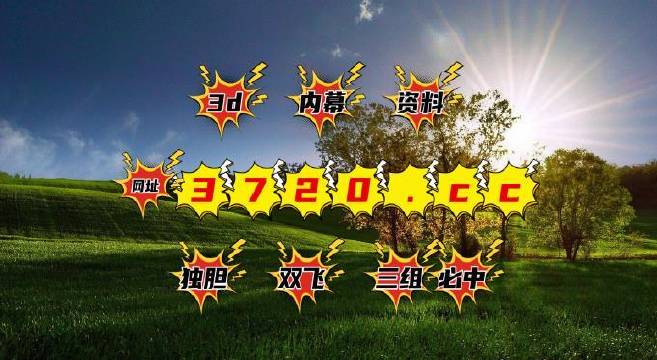 新澳现场开奖结果查询—透明、公正与信任的基石新澳现场开奖结果查询表