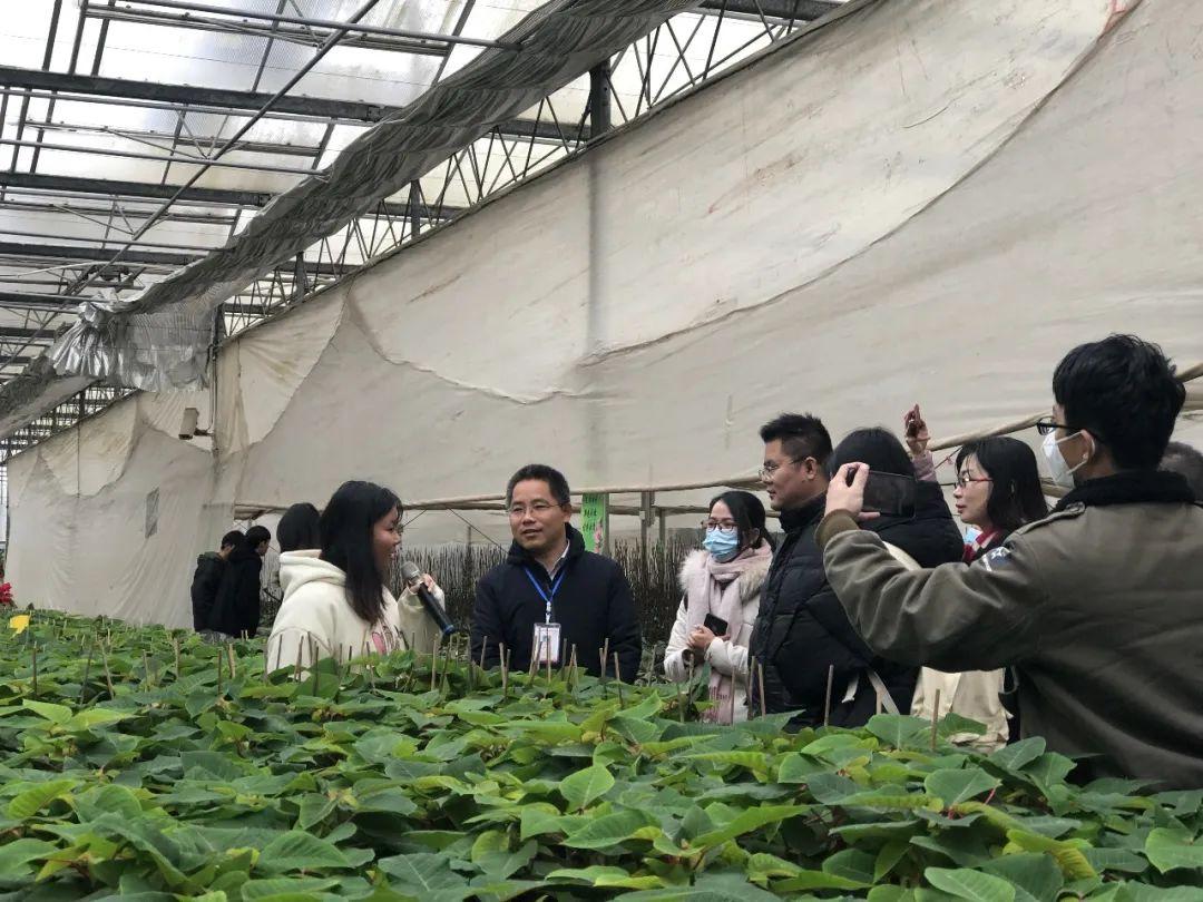 蓝姐三中三大论坛，网络交流的智慧与力量蓝姐三中三论坛精准资料大全传真工作资料电脑知