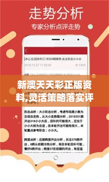 探索新澳天天开奖，揭秘三中三大全的奥秘新澳天天开奖资料