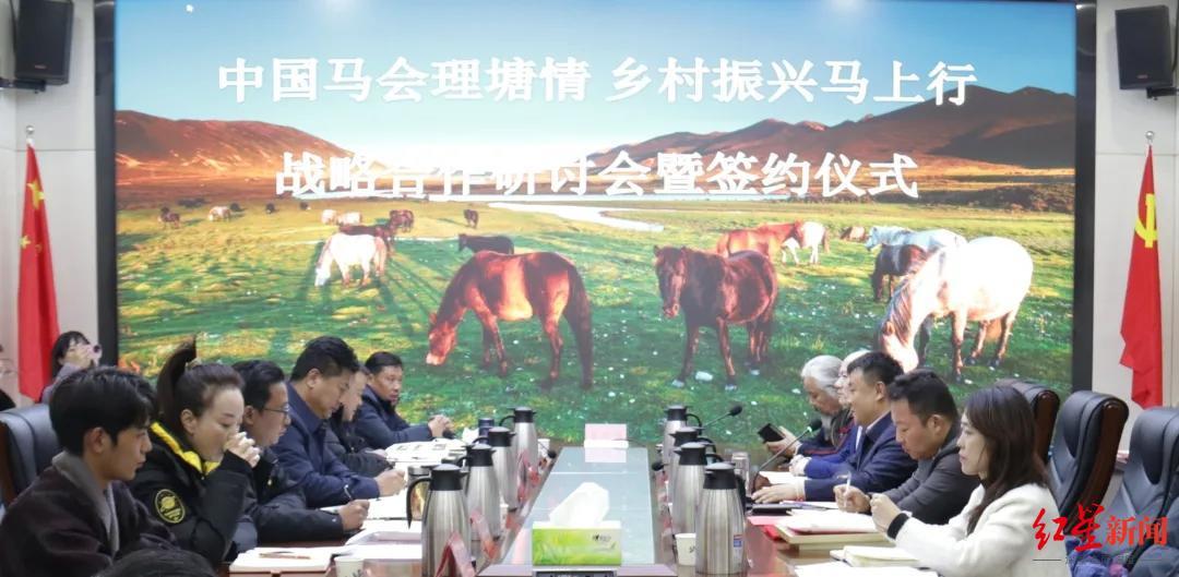 2019年香港马会开码结果直播，见证赛马的激情与幸运香港马 会开奖结果新闻