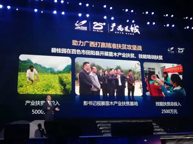 广西的狼精英主论坛，汇聚智慧与力量的地方广西的狼精英主论坛_