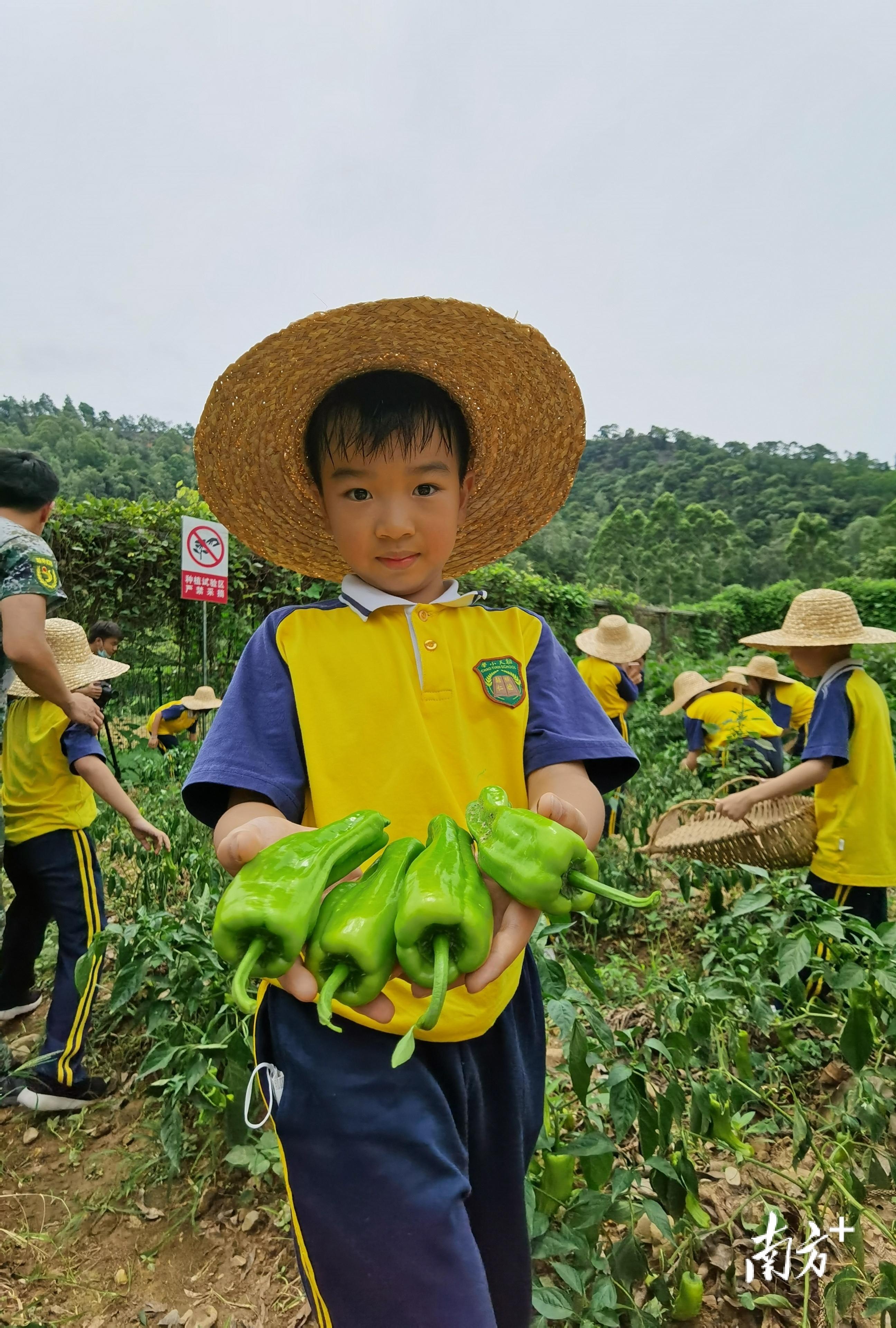 澳门六开彩近15期结果查询指南，理性参与，共享乐趣2025澳门开奖结果查询