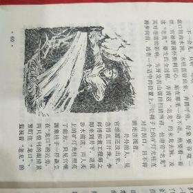 今晚特马揭秘，一场关于小说与命运的奇妙邃旅今天晚开的什么特马 小说今