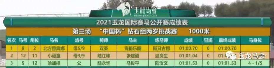 探索香港全年资料马会大全，赛马的魅力与文化深度香港2021马会全年免费资料