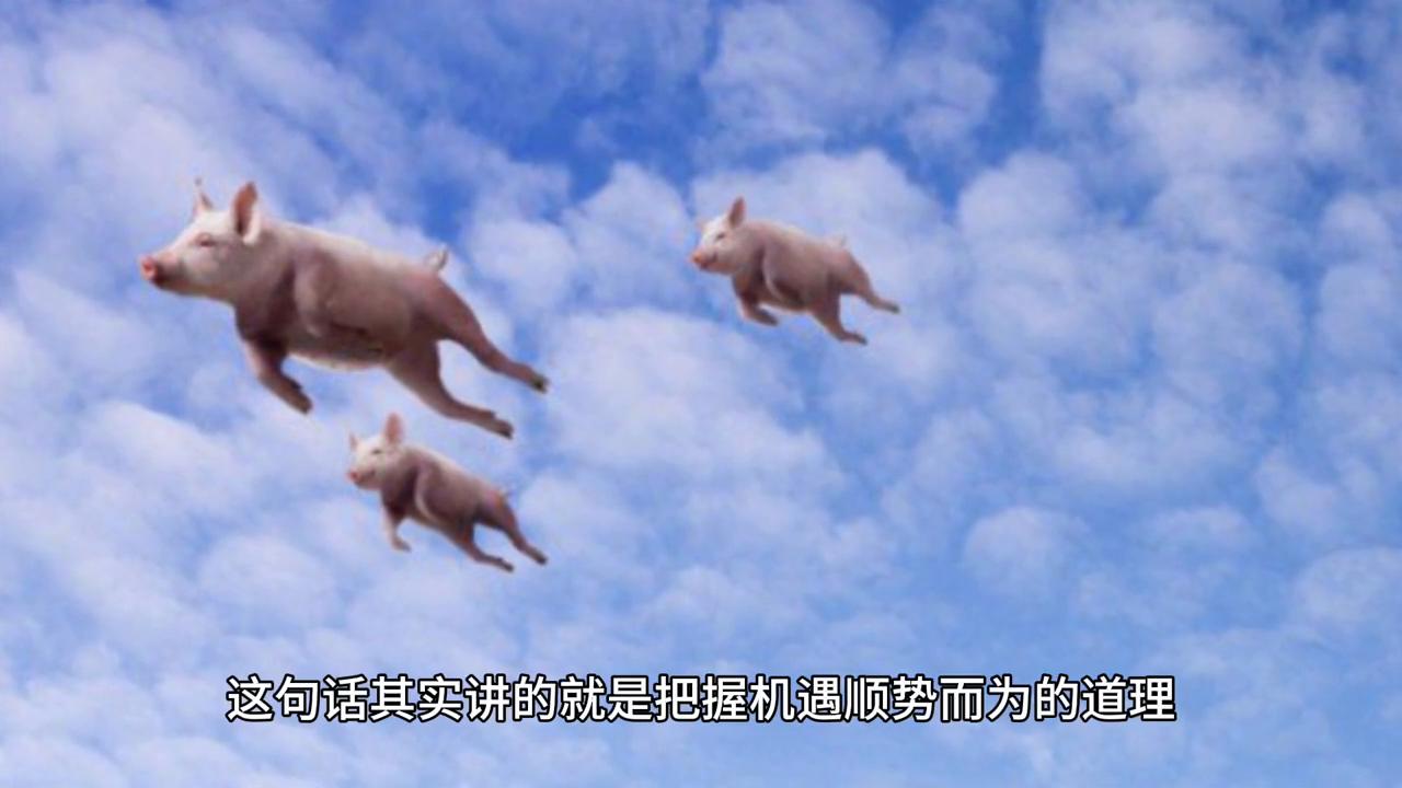 2043年，回望与展望—香港历史开奖结果的启示2024香港历史开奖结果2024第六期开奖号码