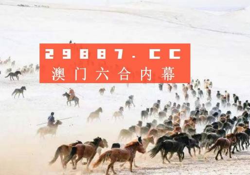 澳门彩49选8，新开奖记录的深度解析与展望新澳门彩4949最新开奖记录新奥