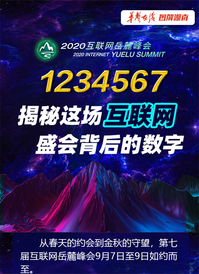 探索42198金牛网论坛，数字背后的网络交流圣地42198金牛网论坛42260