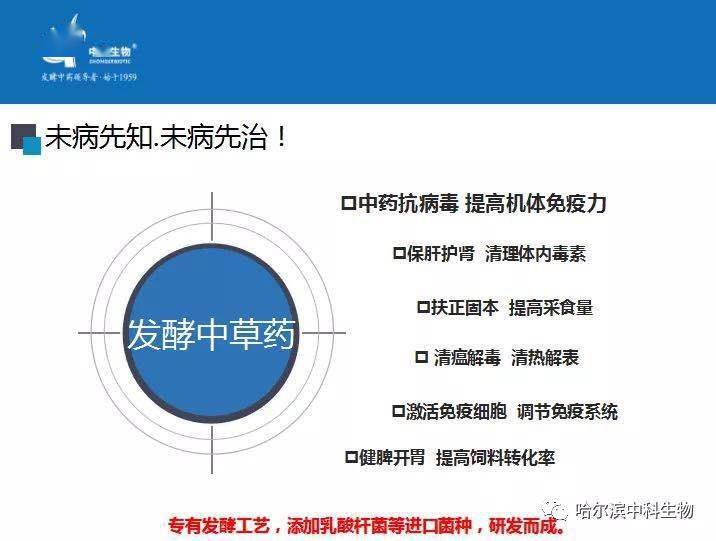 吉利平肖，解码吉与命运的神秘纽带吉利平肖平码论坛999