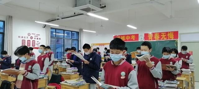 免费正版二四六资料大全，知识共享的智慧之选二四六免费资料大全资,4
