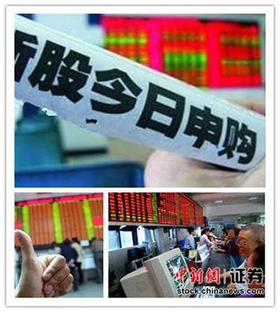 探索新澳马，今天最快最新图库的视觉盛宴新澳马今天最快最新图库223期四不像图片