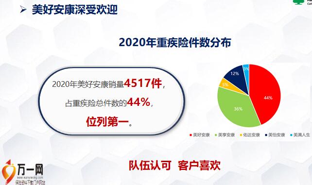 澳门新风貌，全年资料内部公开的深度解析2025年新澳门全年免费