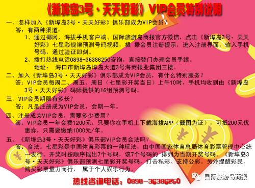蓝姐平码论坛，数字世界的理性与智慧交汇处蓝姐平码资料大公开
