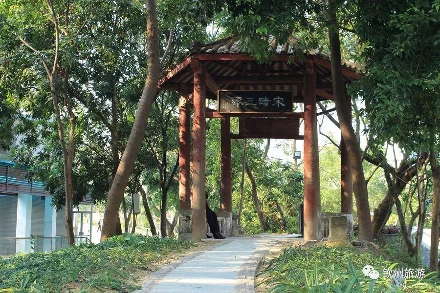 探索大洋岛娱乐论坛，海角天涯的数字乐园大洋岛娱乐论坛官网