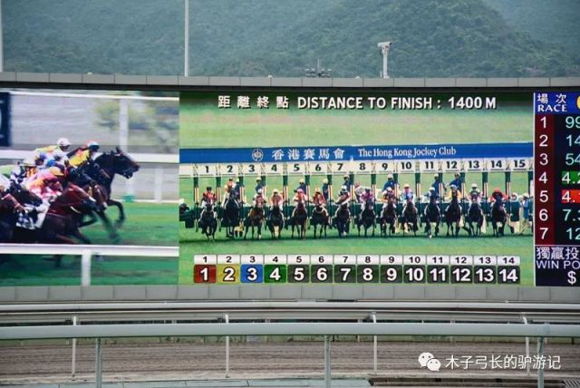 探秘香港马会开奖现场，历史、文化与现代科技的完美融合香港马 会开奖结果新闻