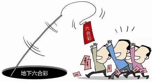 探索香港六合彩的魅力，揭秘码开奖结果背后的故事香港码开奖结果查询结果