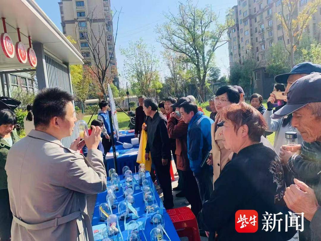 探索爱彩网论坛，网络社区的色彩与激情爱彩网论坛 走势之后