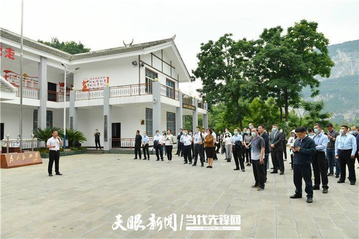 海南七星彩论坛，探索数字游戏的智慧与乐趣海南七星彩论坛区