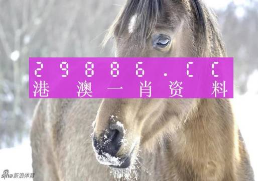 澳门一肖与精准预测，揭秘背后的数字奥秘澳门一肖一码100%澳门码