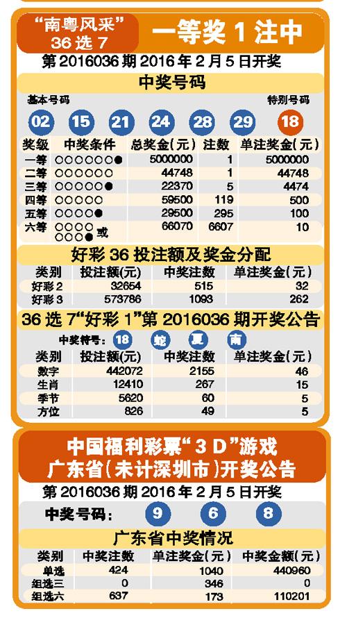 204新澳门天天开好彩大全正版，揭秘彩票背后的数字游戏与人生哲学2004新澳门天天开好彩大全正版一