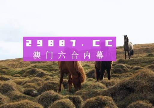 澳门新老开奖，203年回顾与展望新老澳门开奖结果2023开奖记录今晚