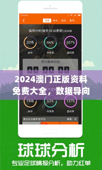 澳门精准资料，期期的精确预测与理性分析新澳门精准免费大全