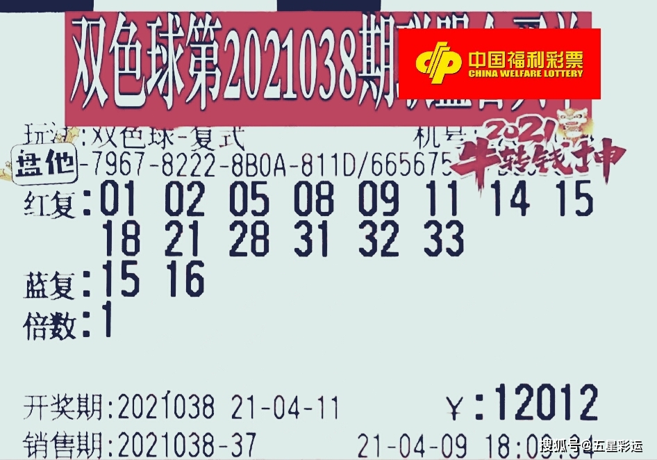 澳门开码资料今晚免费分享，揭秘幸运之门2021年澳门今晚开码咨询