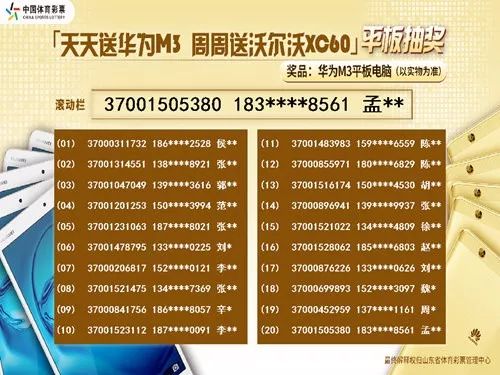 探索二四六天天好彩的每期文字资料大全，揭秘彩票背后的奥秘与智慧