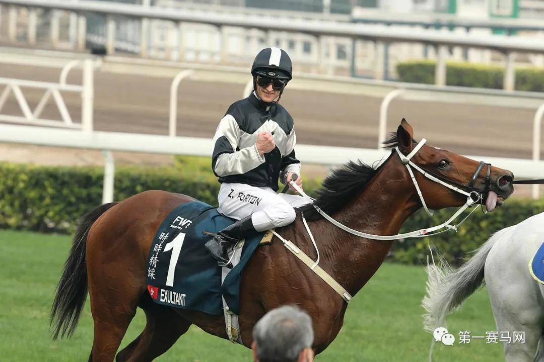 2019年香港马会资料大全，全面解析与深度解读香港2021年马会资料大全