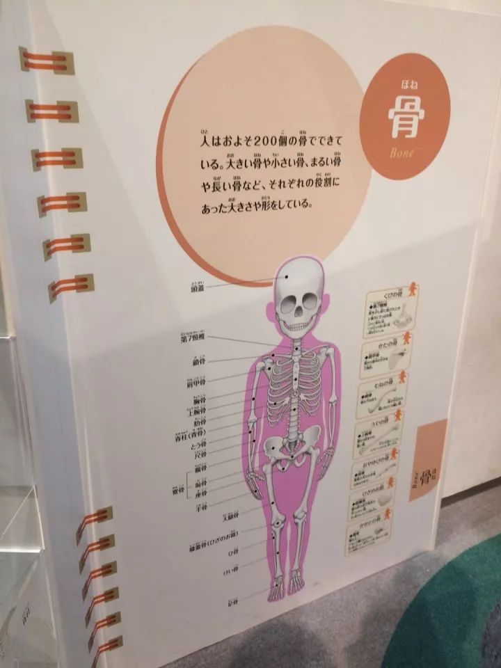 探索最准确的马报彩图，透视技术与数据分析的完美结合最准确的马报彩图男朋友的生日祝福语水电工程属于哪些