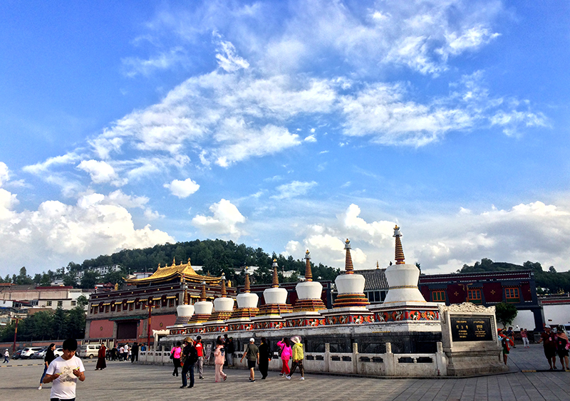 澳门新貌，探寻最精准的龙门之旅新澳门最精准正最精准龙门,2024新澳