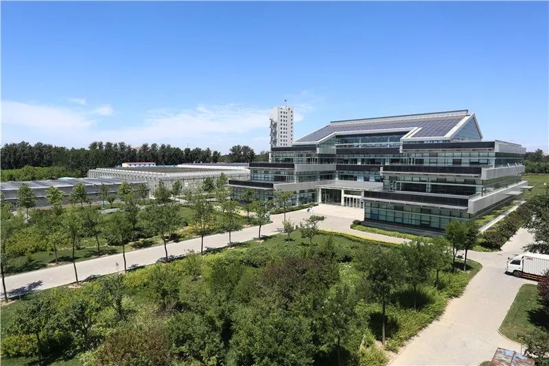 探索新奥门开奖直播的最新动态，时间、消息与结果汇总图解析新澳门开奖结果2020+开奖记录_